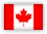 View website in English