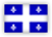View website in French
